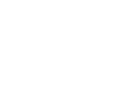 Burma Food Group