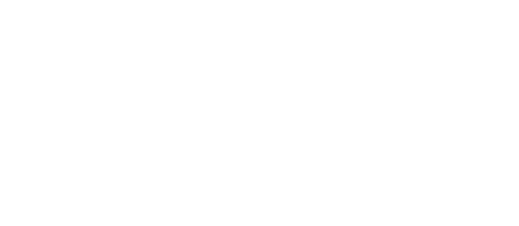 Burma Bites