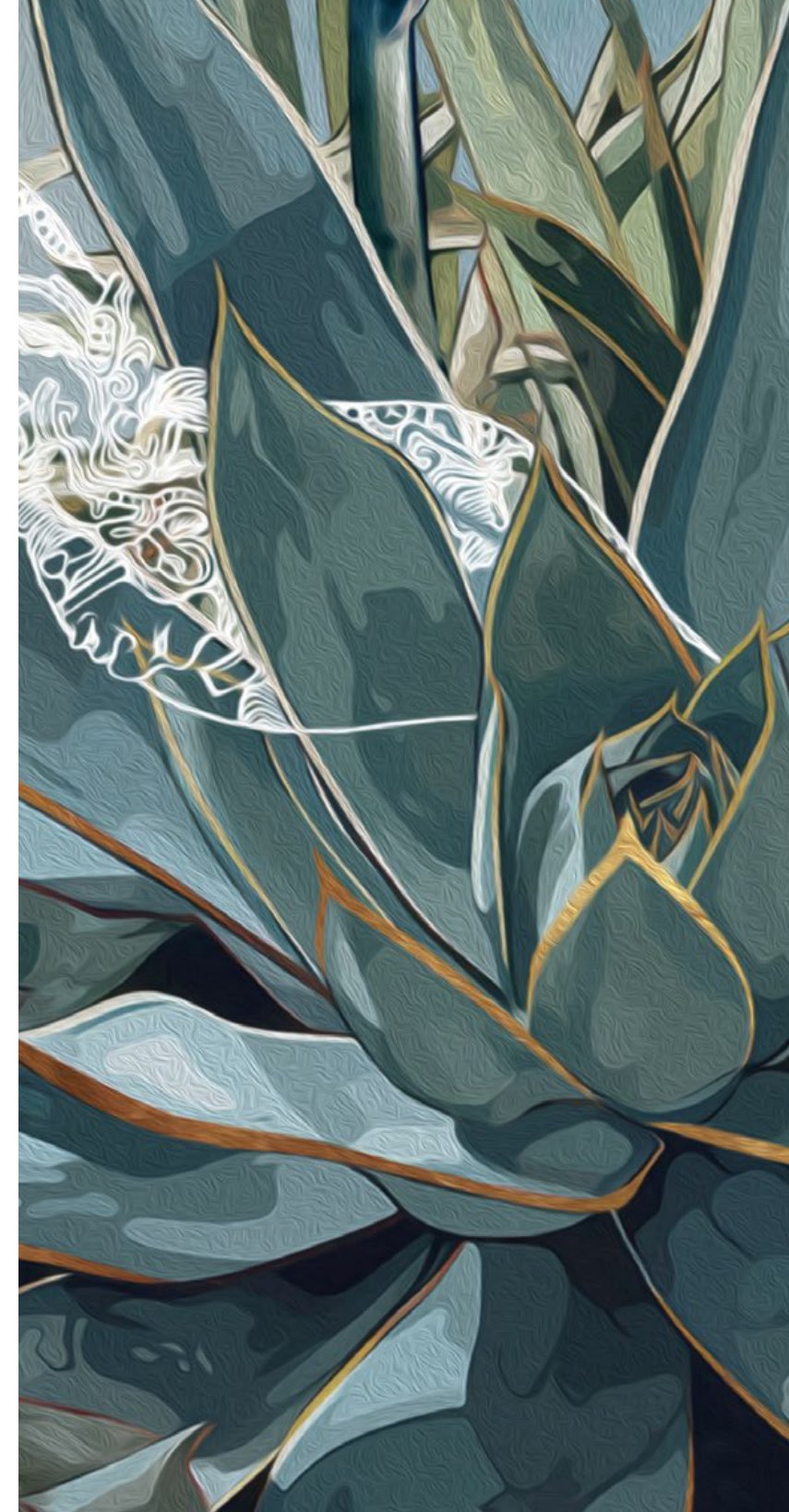 Mural panel — blue agave succulent