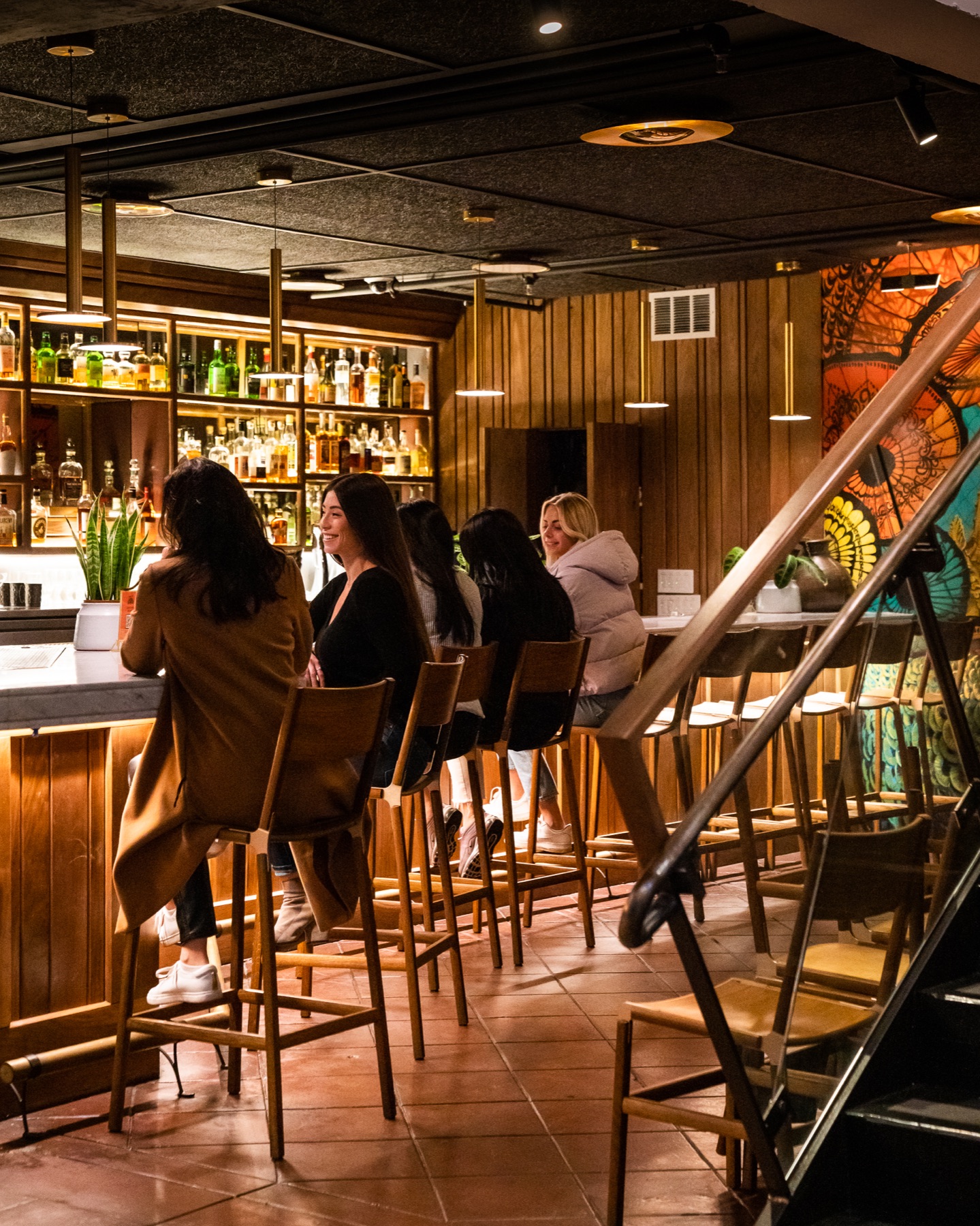 An evening at the bar